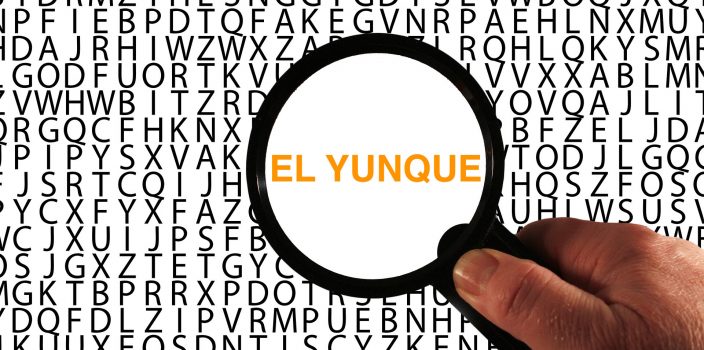 3 claves para reconocer las iniciativas de El Yunque